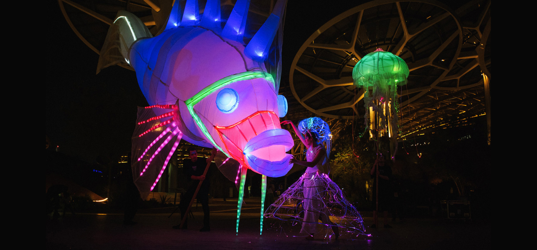 Festival dos Canais 2023